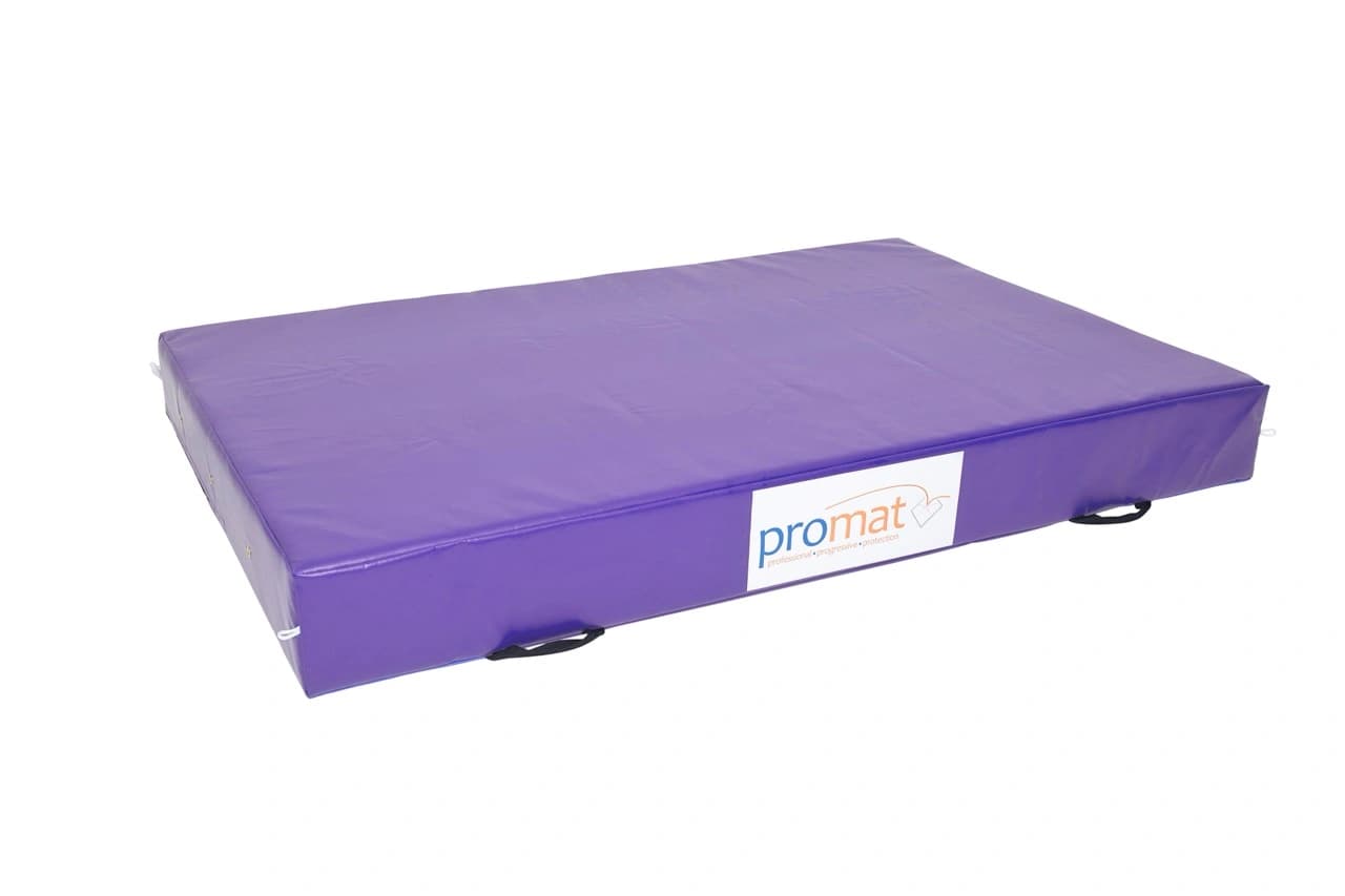 Purple rectangular gym mat with "promat" label on the side and two black carry handles.