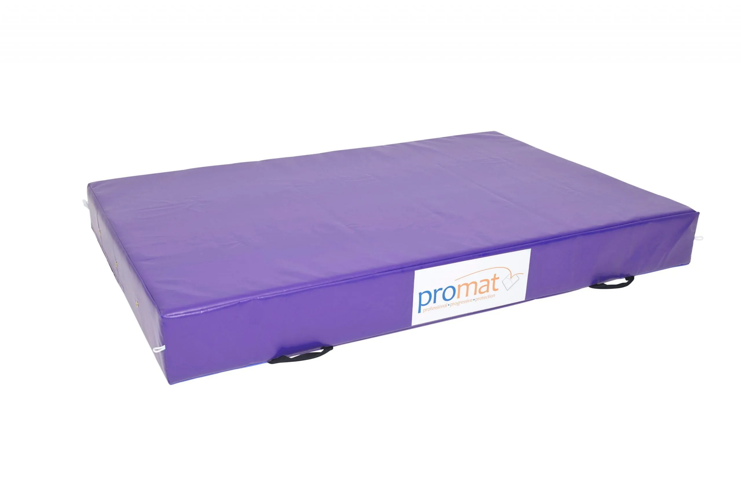 2S9A5996 Purple Web scaled
