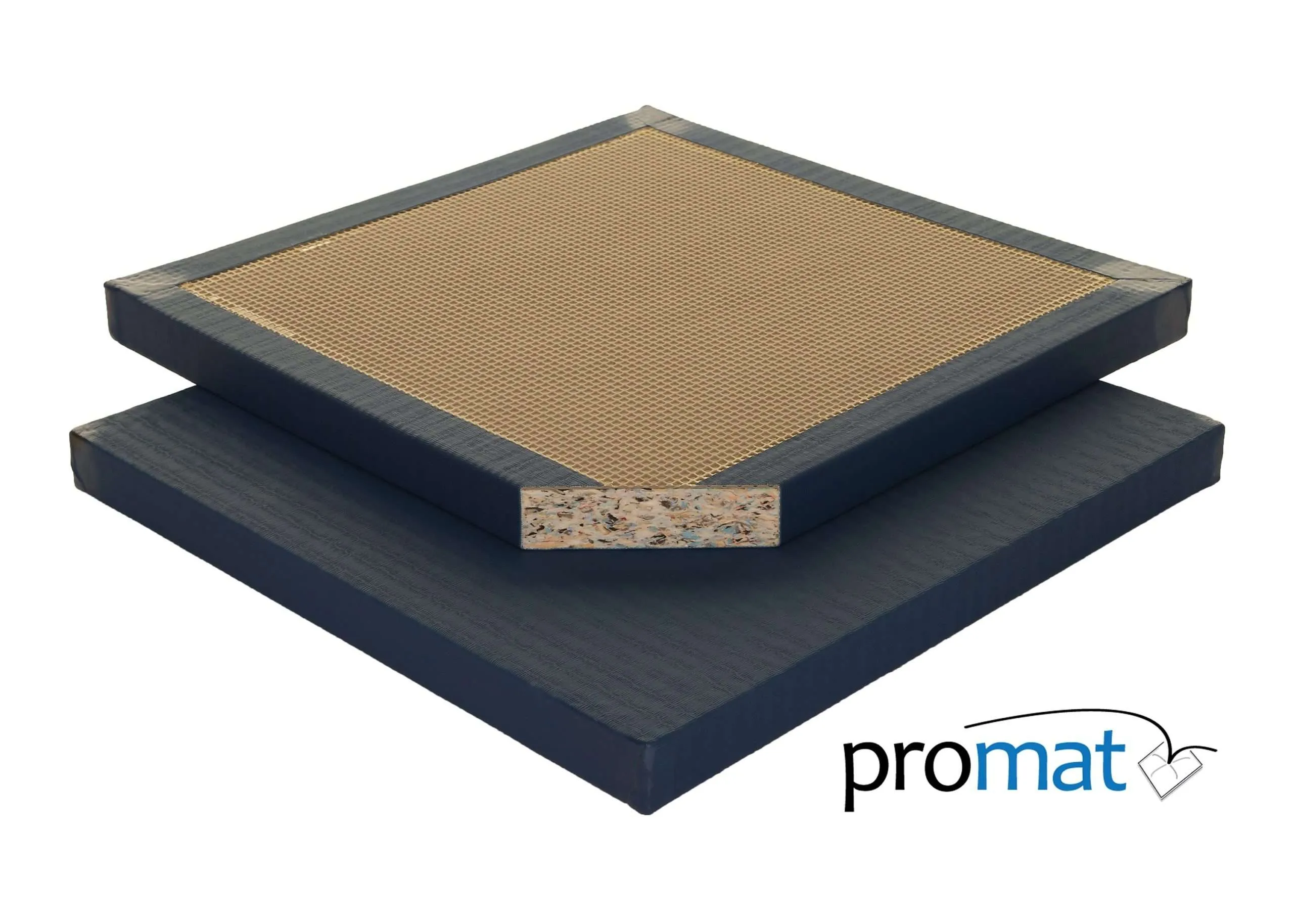 contest judo mat blue web scaled