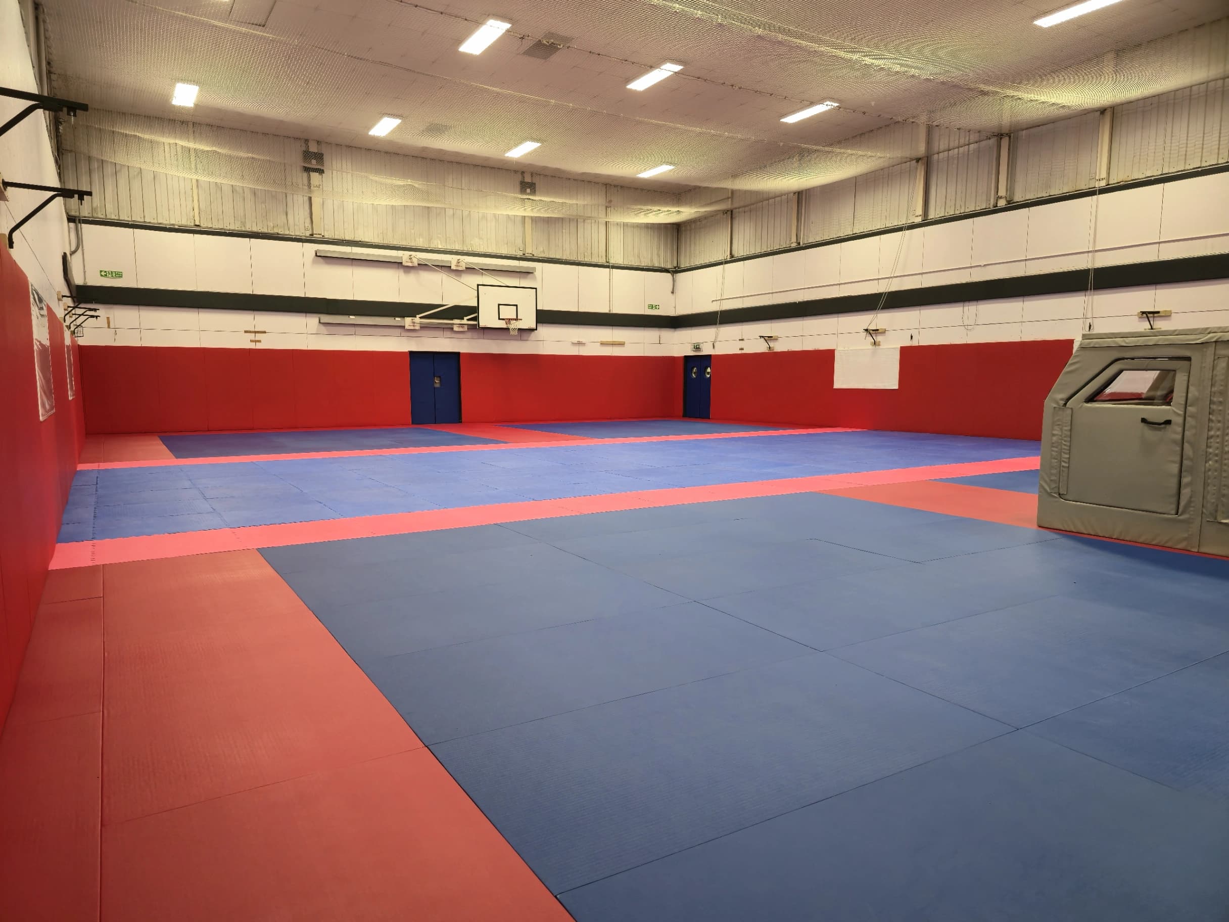 Judo mat 2