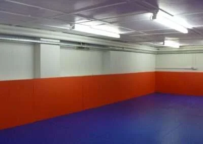 Grappling room low res