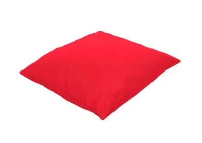 Reading Cushion Red scaled